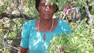 Tswana sangoma and herbalist and initiation of trainees [upl. by Colline465]