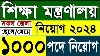 ১০০০পদে🔥 শিক্ষা মন্ত্রণালয় নিয়োগ ২০২৪  সরকারি চাকুরি ২০২৪  BANBEIS Job Circular 2024 [upl. by Idnahr]