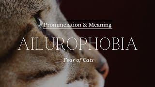 How to Pronounce Ailurophobia  British Pronunciation amp Meaning [upl. by Laeahcim]