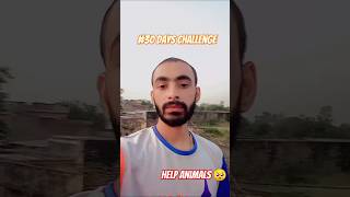 30 days hard challenge help animals dog 30dayschallenge shorts [upl. by Aseek]