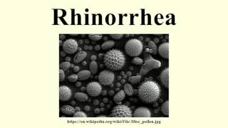 Rhinorrhea [upl. by Ping]