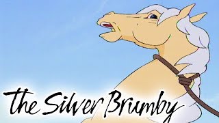 The Silver Brumby  Episode 6  Thowra Is Captured  HD  Full Episode  Videos For Kids [upl. by Imoan488]