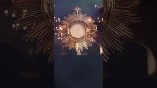 Oración para Casos Difíciles a Jesús Sacramentado reflexiondiaria horasanta oracióncatólica [upl. by Haida13]