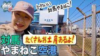 対馬やまねこ空港対馬！せりにゃんと見学！豊富なお土産！すぐそばに歴史を感じる名所あり！〜対馬であいまSHOW〜대마도（テマド） [upl. by Grenville]