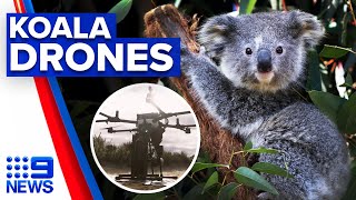 Tree planting drone trials for koala regeneration  9 News Australia [upl. by Baily]