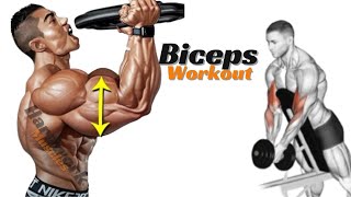 Best Exercises For Wider Biceps [upl. by Ednihek]