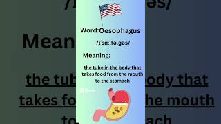 How to Pronounce Oesophagus in American Accent learning learnenglish [upl. by Ahsiekal]