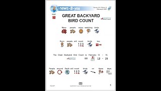 Great Backyard Bird Count [upl. by Neyut]