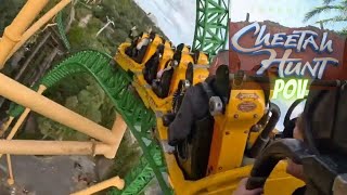 Cheetah hunt back row Pov 2024 Bush gardens Tampa [upl. by Schargel673]