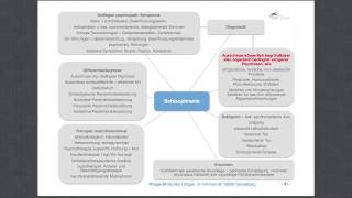 Heilpraktiker für Psychotherapie Schizophrenie [upl. by Ssenav]