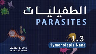 التحليلات \ المادة الوزارية  الطفيليات  \ المحاضرة الثانية 2024 \ Hymenolepis nana \ الجزء الاول [upl. by Waterer]