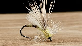 Peccary Caddis  Dry Fly [upl. by Dame637]