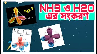 ৭। NH3 ও H2O এর সংকরণ ।। Hybridization of NH3 amp H2O [upl. by Aneekas629]