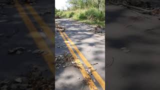 damage at magee marsh Aug 2021 [upl. by Dannie]