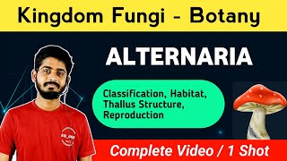 Alternaria Fungi  Systematic Position  Thallus Structure  Reproduction  Life Cycle [upl. by Mailli844]