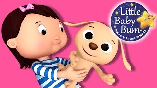 Little Puppy Song  Nursery Rhymes for Babies by LittleBabyBum  ABCs and 123s [upl. by Kathleen]