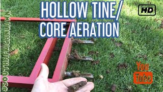 Hollow Tine Core Aeration 3 backyard RenovationKentucky Bluegrass [upl. by Belle79]