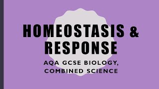 Homeostasis Revision  GCSE BiologyCombined Science [upl. by Miranda734]