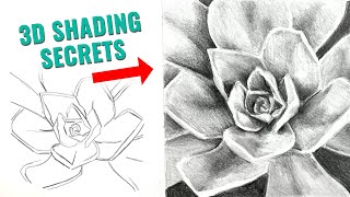 Four Steps To Shading A 3D Effect With Graphite Pencil [upl. by Artenal581]