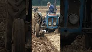 Fordson Super Dexta at the Forest of Arden Agricultural Society Ploughing Match 2023 ploughing [upl. by Betty]