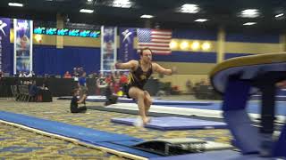 Dylan Ellsworth  Vault  2018 Winter Cup  Finals [upl. by Ahsinawt29]