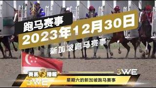 3WE HORSE 【赛马播报】 新加坡克兰芝 Singapore Kranji 30 December 2023 [upl. by Holladay687]