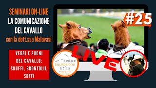 Equindi La comunicazione del cavallo 25 Sbuffi brontolii e soffi vocalizzazioni [upl. by Adiam]