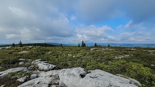 Soloing Dolly Sods Wilderness  Backpacking Vlog  4K [upl. by Falk]