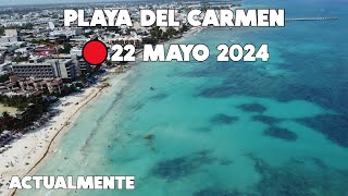 PLAYA DEL CARMEN🚨22 MAYO 2024 AL MOMENTO SIN SARGAZO [upl. by Assilla]