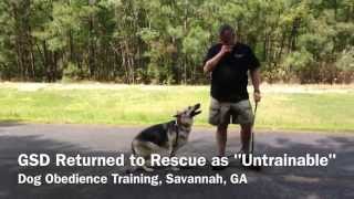 Can LowCountry Dog Trainers train an untrainable dog [upl. by Alleahcim222]