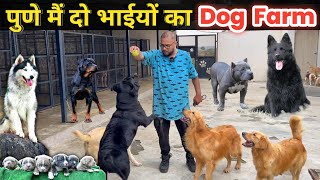 🔥पुणे मै दो भाईयों का सपनों का Dog Farm  AYRO Farms  The Barking Mansion Pune sandhuagrofarm [upl. by Dreyer]