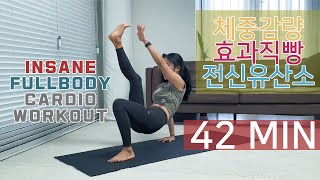 체중감량 효과직빵 전신 유산소운동 칼로리 소모 끝판왕  Insane Fullbody HIIT Cardio Workout No equip [upl. by Hannover]