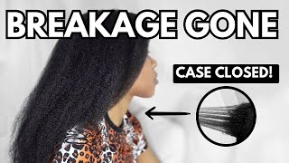 How to STOP BREAKAGE  Solutions  Understanding Breakage vs Shedding  Natural Hair [upl. by Ellecrad]