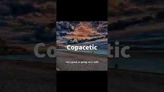 Copacetic ytshorts reel trending viral viralvideo facts english words ssc hssc cgl ctet [upl. by Armyn103]