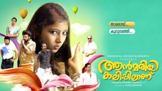 Ann Maria Kalippilaanu All Songs Audio Jukebox [upl. by Aynotel]