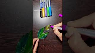 leaf lettering art 🌿 lettering handlettering leafart satisfying sowmidraws shorts video [upl. by Jerri]