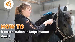 HOW TO KNOTTEN maken in LANGE MANEN  Deel 1  67  Epplejeck [upl. by Cida150]