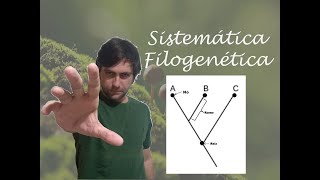 Sistemática filogenética [upl. by Anigal]