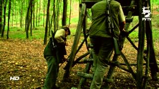 Vadászláz  Szarvasnász a festői Somogyban jagd in Ungarn Deer hunting in Hungary [upl. by Nirtak]