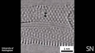 Watch chemical bonds forming and breaking in a molecule  Science News [upl. by Tamah287]