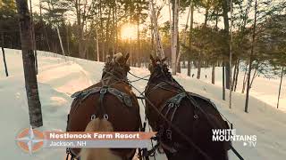 What a Way to Sleigh at Nestlenook Farm [upl. by Yort]