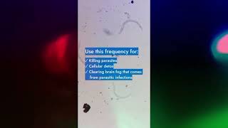 1150 Hz Rife frequency to remove parasites [upl. by Inittirb97]