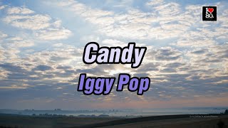 Iggy Pop  Candy Karaoke New Wave HD [upl. by Atsirak488]