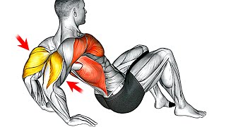 10 Best Triceps Exercises at Home No Weights [upl. by Read]