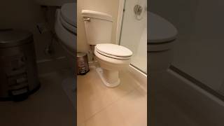 Jacuzzi Toilet Flush in a Condo [upl. by Yelkcub]