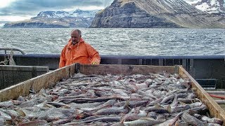 Sole Fish Trawl Fishing  Coldwater Vessel Fishing  Modern Fishing Aquaculture [upl. by Ynaffik809]