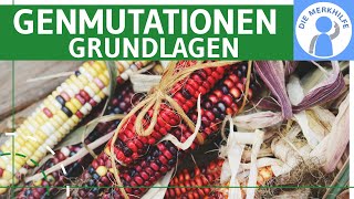 Genmutationen Grundlagen  Definition Genmutationsarten amp Genmutationstypen einfach erklärt [upl. by Adnauq]