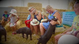 BBC Countryfile Live 2018 Open Now [upl. by Atilrep]