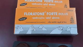 floratone forte bolus tablet uses in hindi prasadvet [upl. by Mcadams]