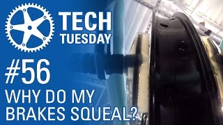 Why Do My Brakes Squeal  Tech Tuesday 56 [upl. by Raddy]